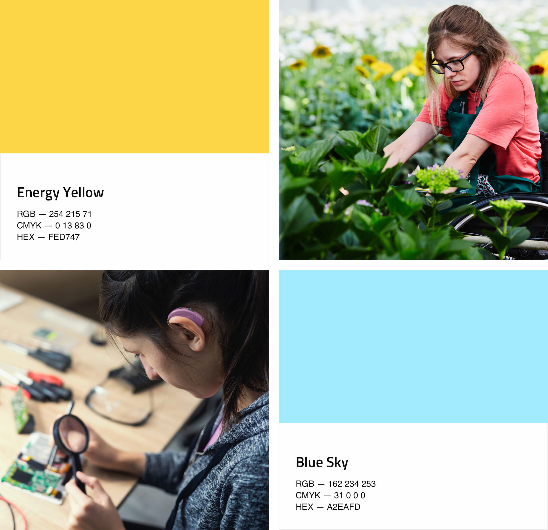 Image illustrating DB101 brand colors - energy yellow, light blue and picture style - showing people working in different places and using a little of blur in a background.